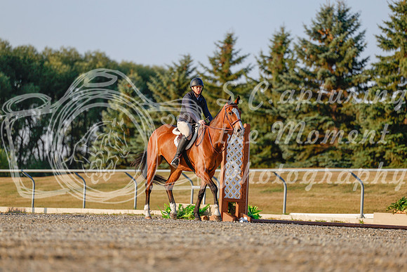 2025 - Haylee - Harvest Horse Show - Sunday, September 13th 03858
