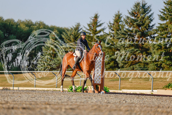 2025 - Haylee - Harvest Horse Show - Sunday, September 13th 03859