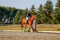 2025 - Haylee - Harvest Horse Show - Sunday, September 13th 03860