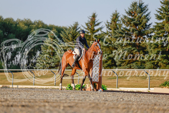 2025 - Haylee - Harvest Horse Show - Sunday, September 13th 03860