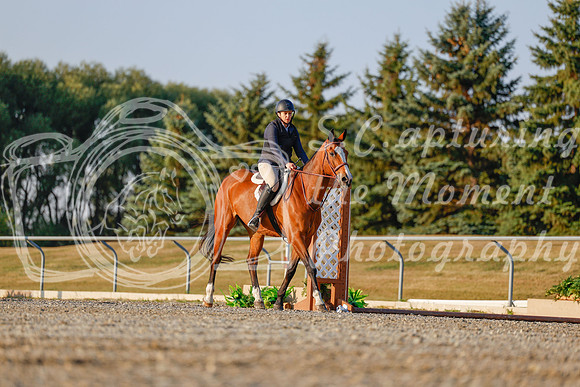2025 - Haylee - Harvest Horse Show - Sunday, September 13th 03861