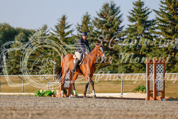 2025 - Haylee - Harvest Horse Show - Sunday, September 13th 03862
