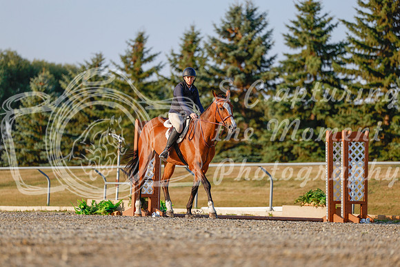 2025 - Haylee - Harvest Horse Show - Sunday, September 13th 03863