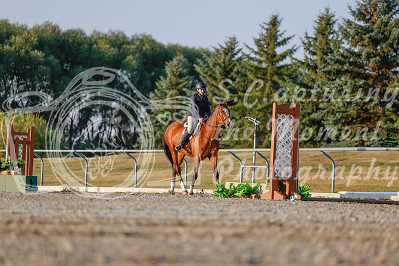 2025 - Haylee - Harvest Horse Show - Sunday, September 13th 03864