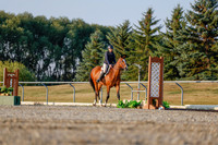 2025 - Haylee - Harvest Horse Show - Sunday, September 13th 03865