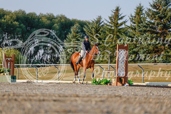 2025 - Haylee - Harvest Horse Show - Sunday, September 13th 03865