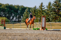 2025 - Haylee - Harvest Horse Show - Sunday, September 13th 03866