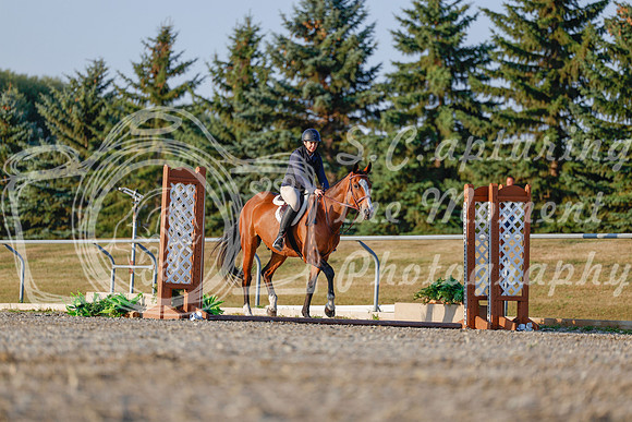 2025 - Haylee - Harvest Horse Show - Sunday, September 13th 03867