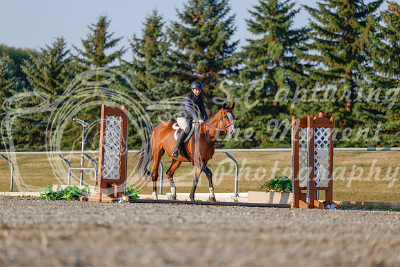 2025 - Haylee - Harvest Horse Show - Sunday, September 13th 03868