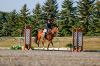 2025 - Haylee - Harvest Horse Show - Sunday, September 13th 03869