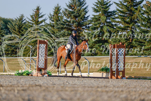 2025 - Haylee - Harvest Horse Show - Sunday, September 13th 03869
