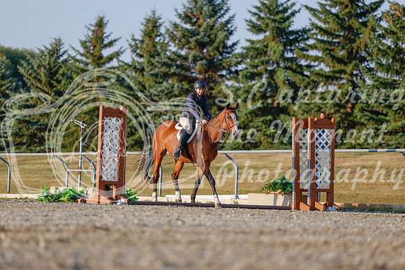 2025 - Haylee - Harvest Horse Show - Sunday, September 13th 03870