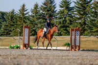 2025 - Haylee - Harvest Horse Show - Sunday, September 13th 03872