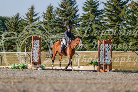 2025 - Haylee - Harvest Horse Show - Sunday, September 13th 03874