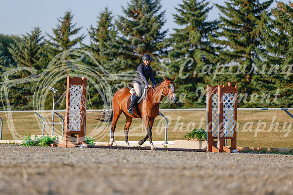 2025 - Haylee - Harvest Horse Show - Sunday, September 13th 03875
