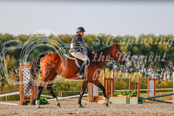 2025 - Haylee - Harvest Horse Show - Sunday, September 13th 03877