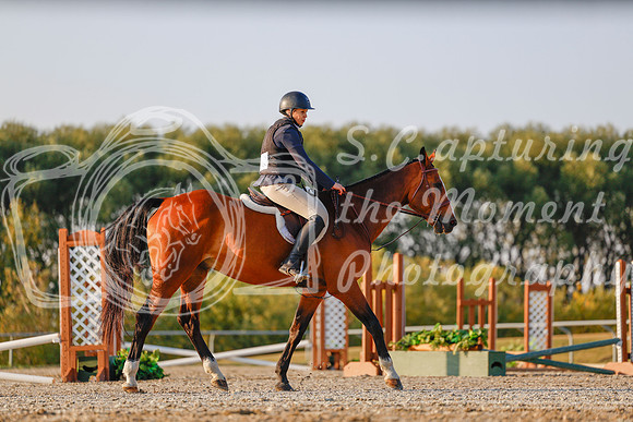 2025 - Haylee - Harvest Horse Show - Sunday, September 13th 03879