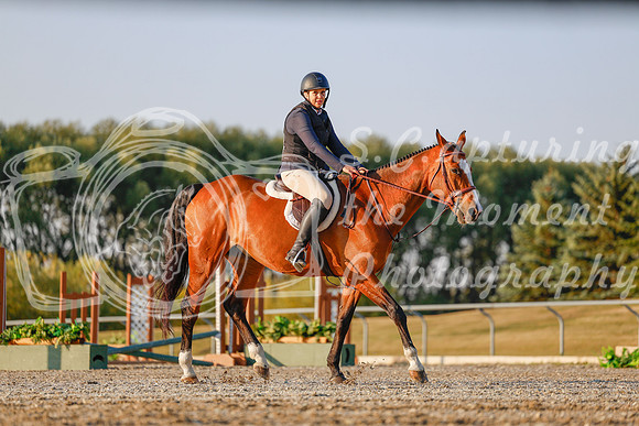 2025 - Haylee - Harvest Horse Show - Sunday, September 13th 03880