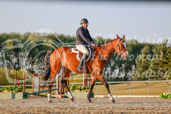 2025 - Haylee - Harvest Horse Show - Sunday, September 13th 03881