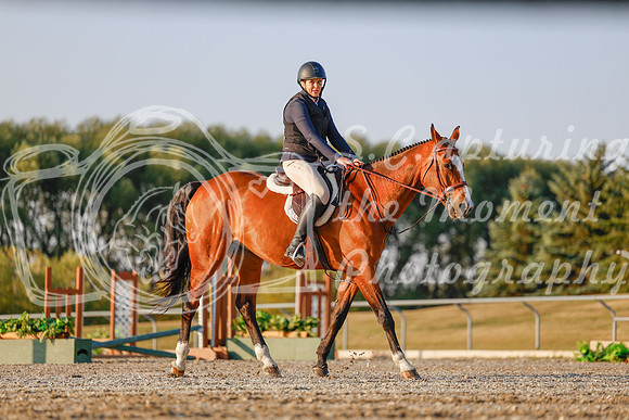 2025 - Haylee - Harvest Horse Show - Sunday, September 13th 03883