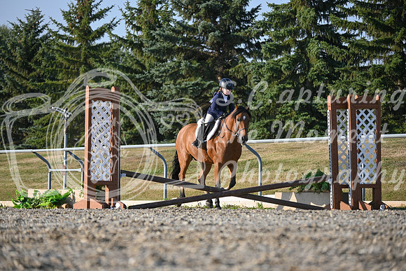 2025 - Petra - Harvest Horse Show - Sunday, September 13th 09365