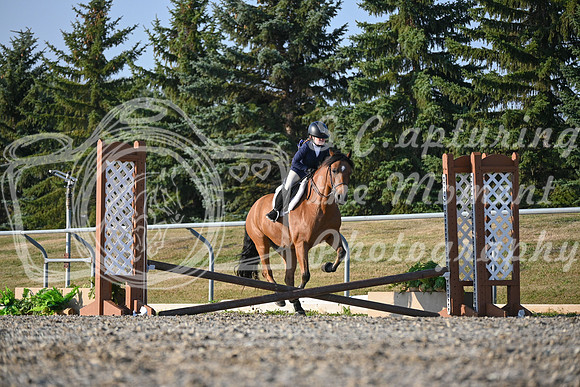 2025 - Petra - Harvest Horse Show - Sunday, September 13th 09366