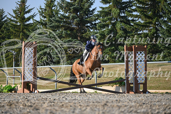 2025 - Petra - Harvest Horse Show - Sunday, September 13th 09367