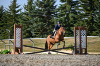 2025 - Petra - Harvest Horse Show - Sunday, September 13th 09368