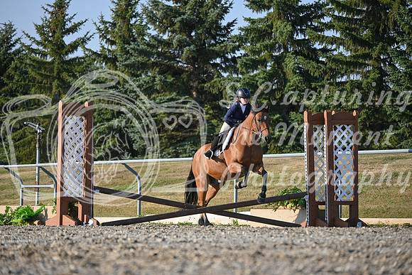 2025 - Petra - Harvest Horse Show - Sunday, September 13th 09368