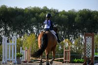 2025 - Petra - Harvest Horse Show - Sunday, September 13th 09371