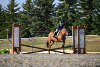 2025 - Petra - Harvest Horse Show - Sunday, September 13th 09369