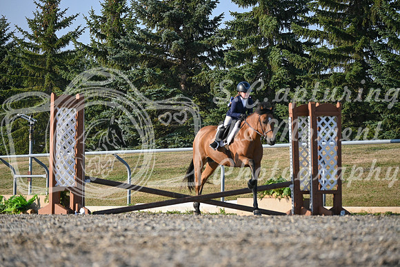 2025 - Petra - Harvest Horse Show - Sunday, September 13th 09369