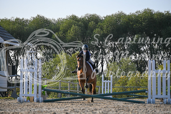 2025 - Petra - Harvest Horse Show - Sunday, September 13th 09374
