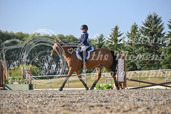 2025 - Petra - Harvest Horse Show - Sunday, September 13th 09378