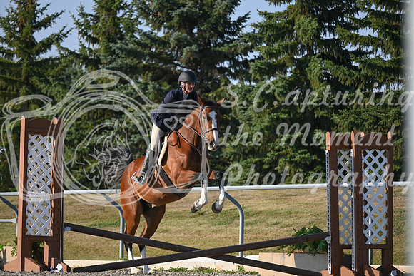 2025 - Petra - Harvest Horse Show - Sunday, September 13th 09379