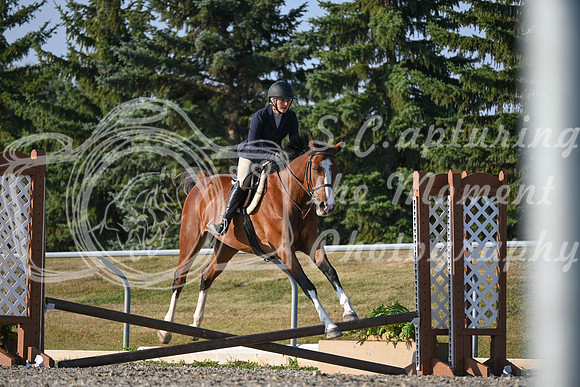 2025 - Petra - Harvest Horse Show - Sunday, September 13th 09381