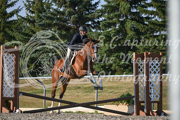 2025 - Petra - Harvest Horse Show - Sunday, September 13th 09380