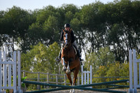 2025 - Petra - Harvest Horse Show - Sunday, September 13th 09383