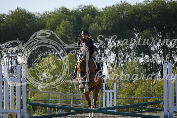 2025 - Petra - Harvest Horse Show - Sunday, September 13th 09383