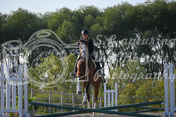 2025 - Petra - Harvest Horse Show - Sunday, September 13th 09384