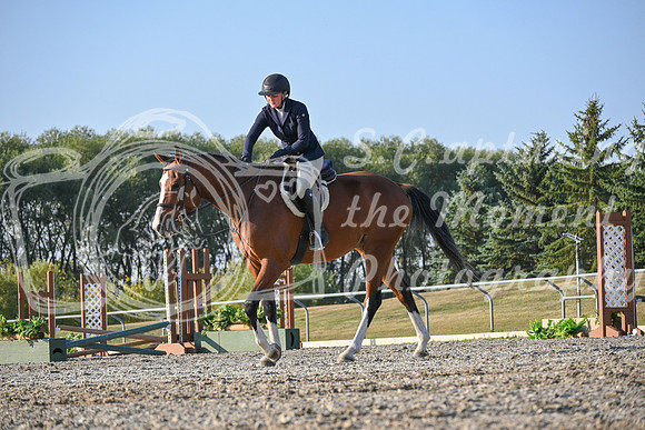 2025 - Petra - Harvest Horse Show - Sunday, September 13th 09387