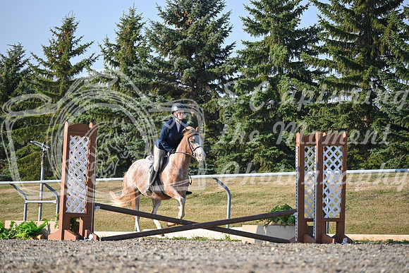 2025 - Petra - Harvest Horse Show - Sunday, September 13th 09388