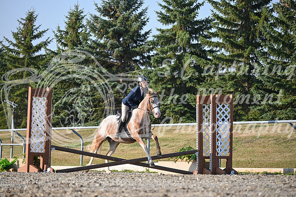 2025 - Petra - Harvest Horse Show - Sunday, September 13th 09390