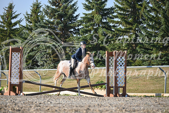 2025 - Petra - Harvest Horse Show - Sunday, September 13th 09391