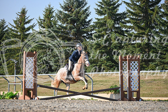 2025 - Petra - Harvest Horse Show - Sunday, September 13th 09389