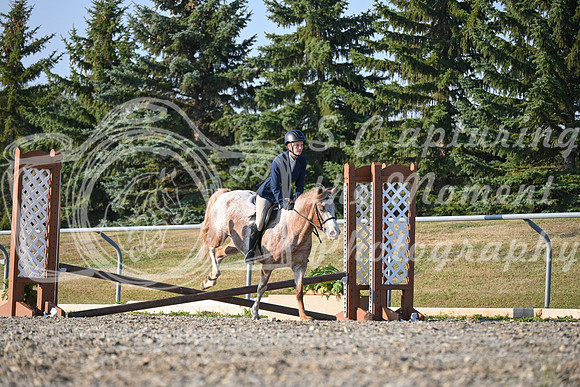 2025 - Petra - Harvest Horse Show - Sunday, September 13th 09392