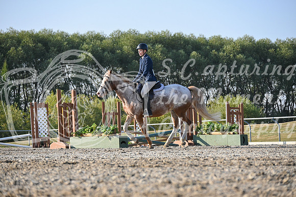 2025 - Petra - Harvest Horse Show - Sunday, September 13th 09396