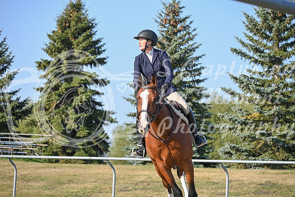 2025 - Petra - Harvest Horse Show - Sunday, September 13th 09399