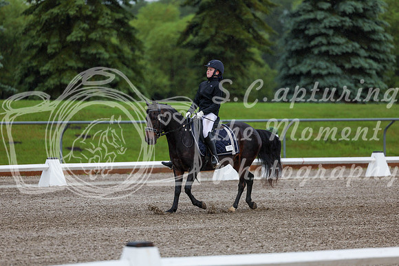 2025 - Dressage Festival - Sunday July 6th - 00003