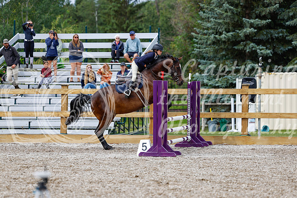 2025 - Haylee - Picco Horse Show - Friay July 25th 01892